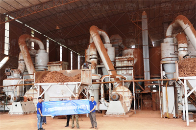 制药公司操作规程BPX120高速搓式旋盖机